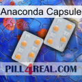 Anaconda Capsule 25